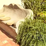 La Carcarella